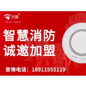 4K TV stick for Global Markets: Wanlin Source Factory Success Cases
